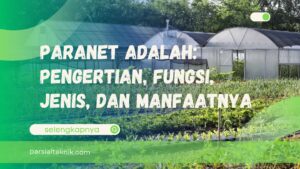 paranet adalah